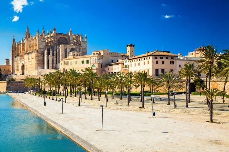 Palma city and waterfront near the event venue